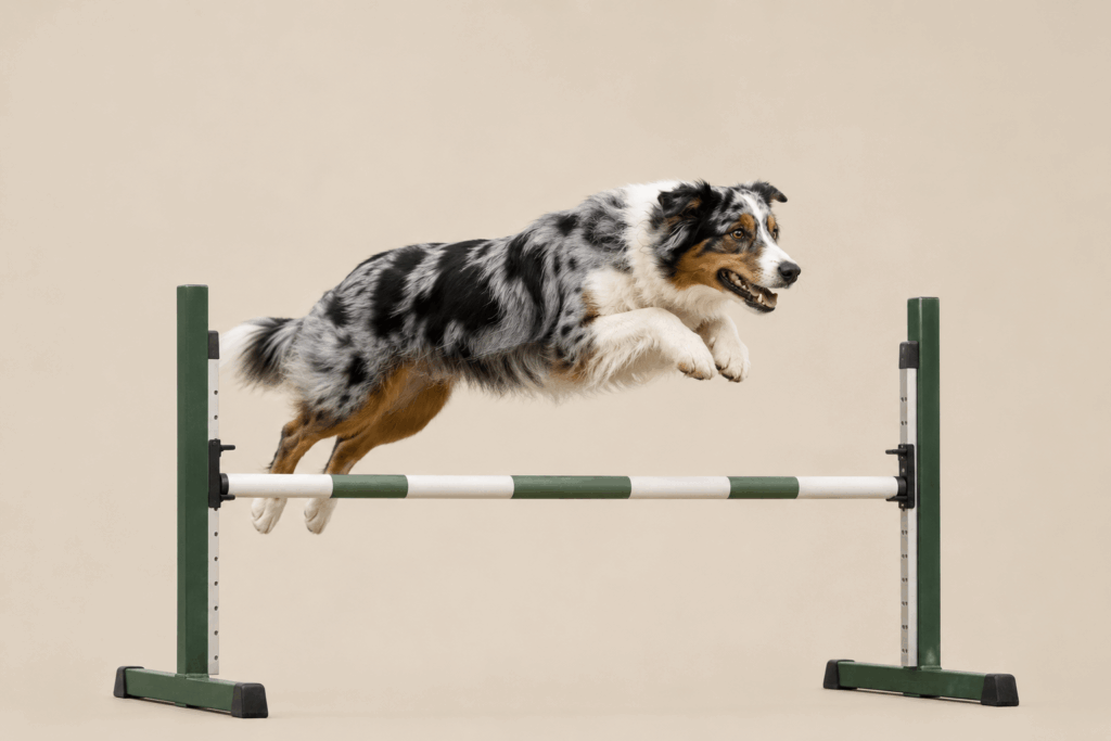 WOOFMOTION KLUB GIŻYCKO